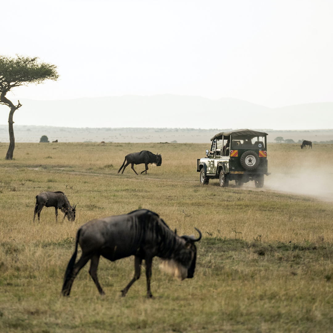 19 Hotel Amenity Ideas That Will Wow Your Guests