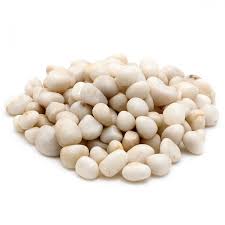 Beans White Haricot 500g