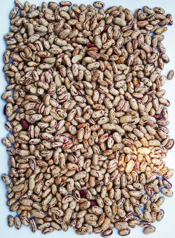 Beans Sugar 10kg