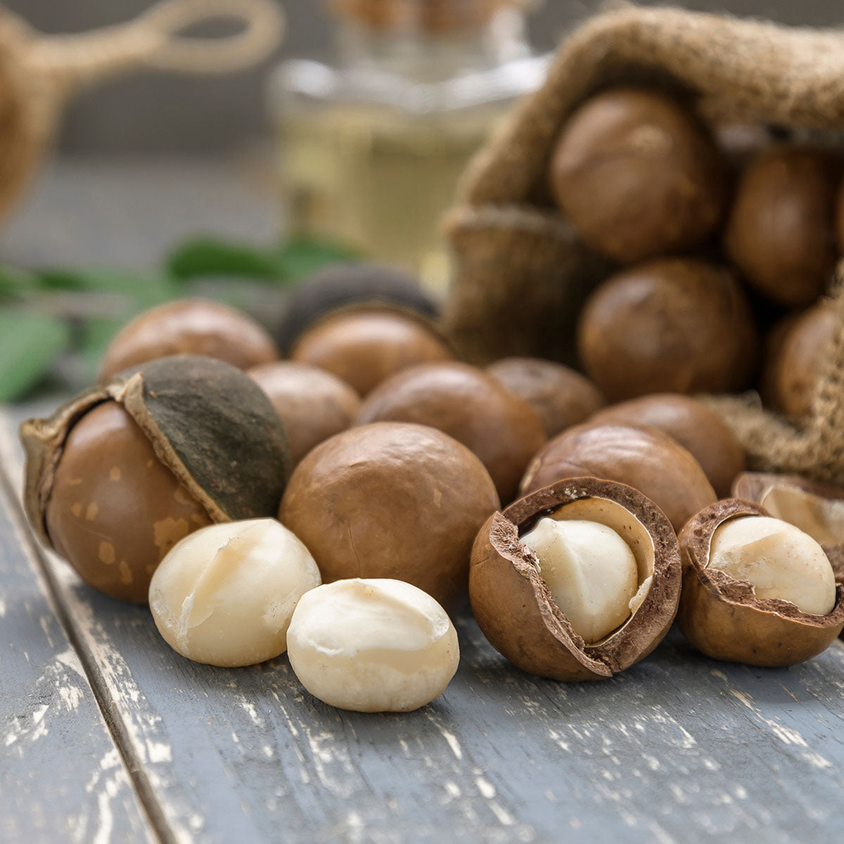 From Farm To Consumers | The Life Cycle Of Macadamia Nuts