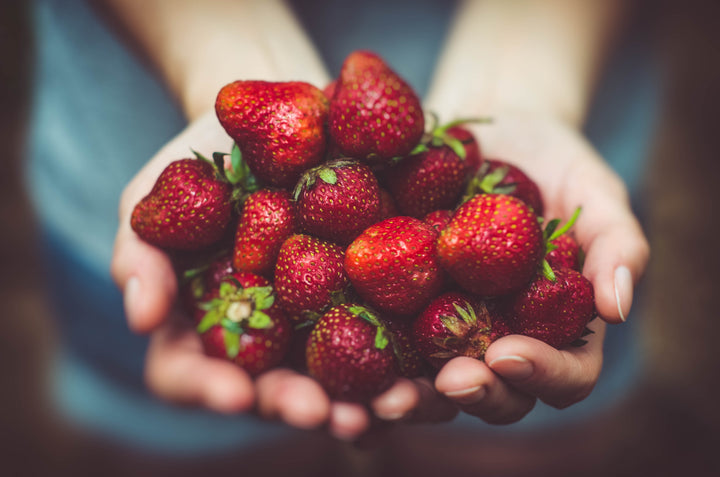 Tips For Food Logistics