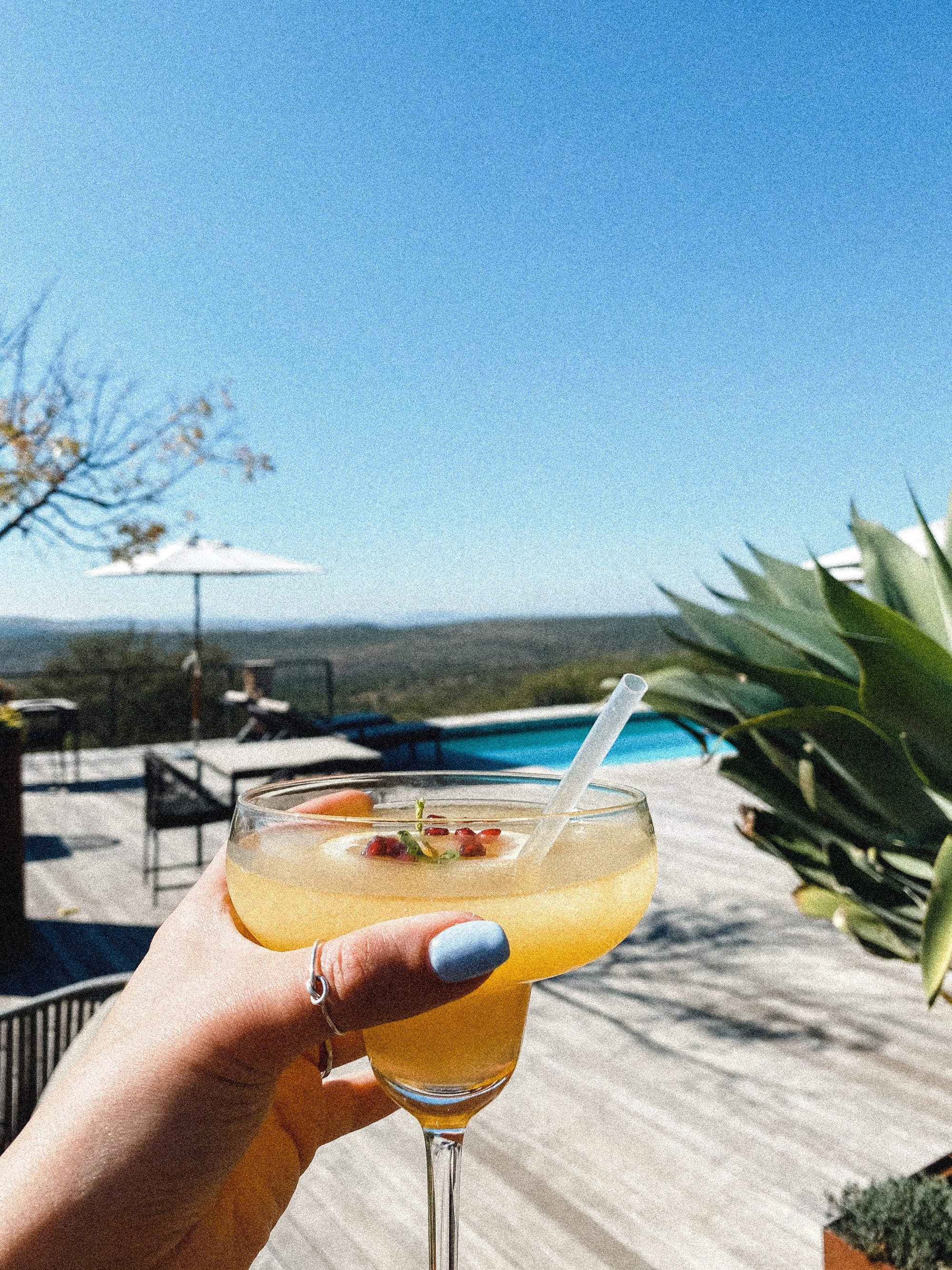 South Africa On A Plate: What Food To Expect On A Trip