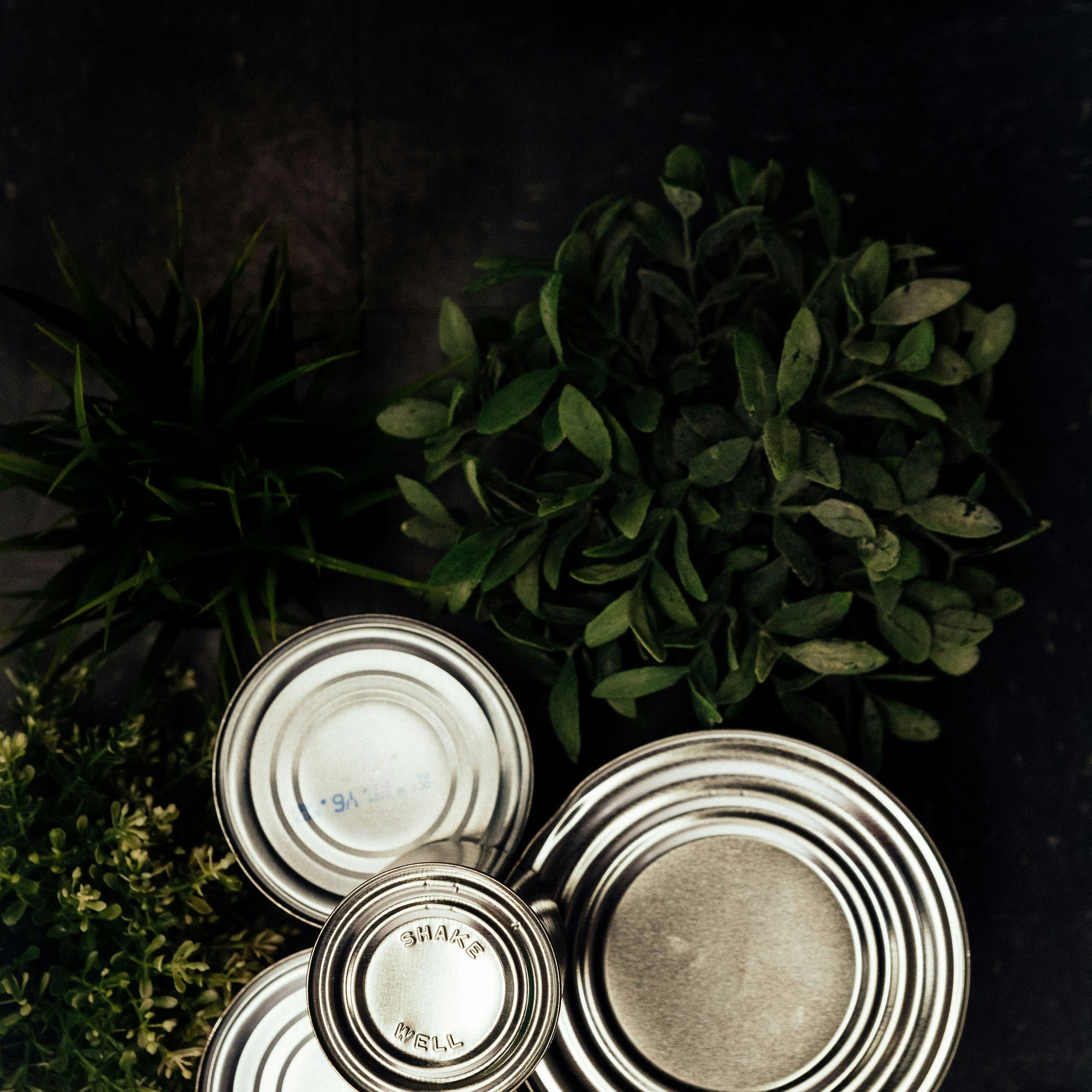 Collection Image