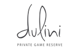 Dulini