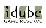 Idube