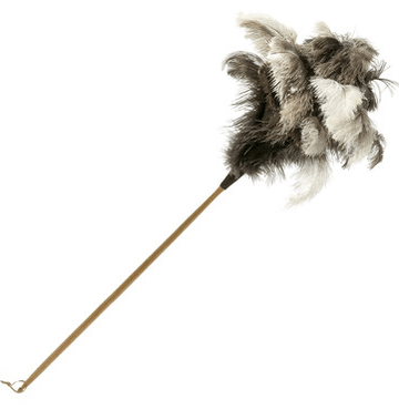 Feather Duster Long