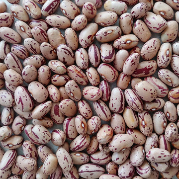 Sugar Beans 1kg