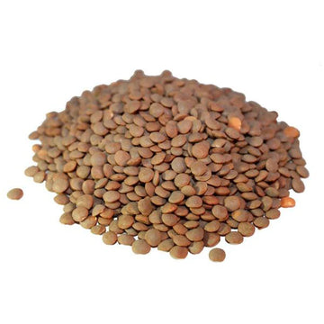 Lentils Brown 500g