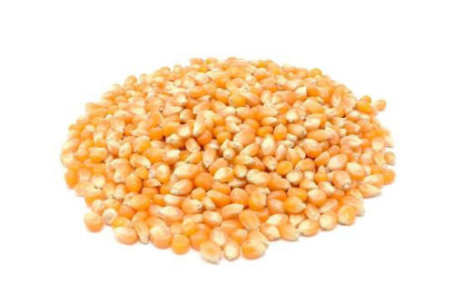 Popcorn 500g
