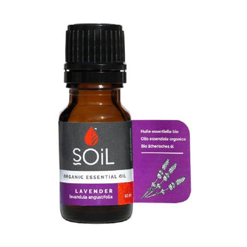 Essential Oil Lavender 10ml