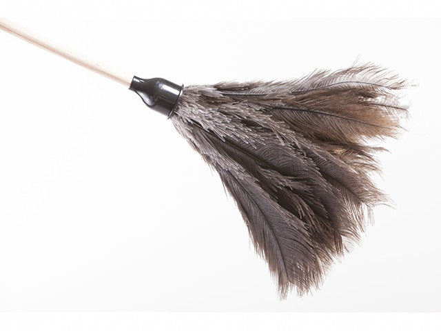 Feather Duster Short