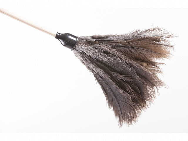 Feather Duster Long