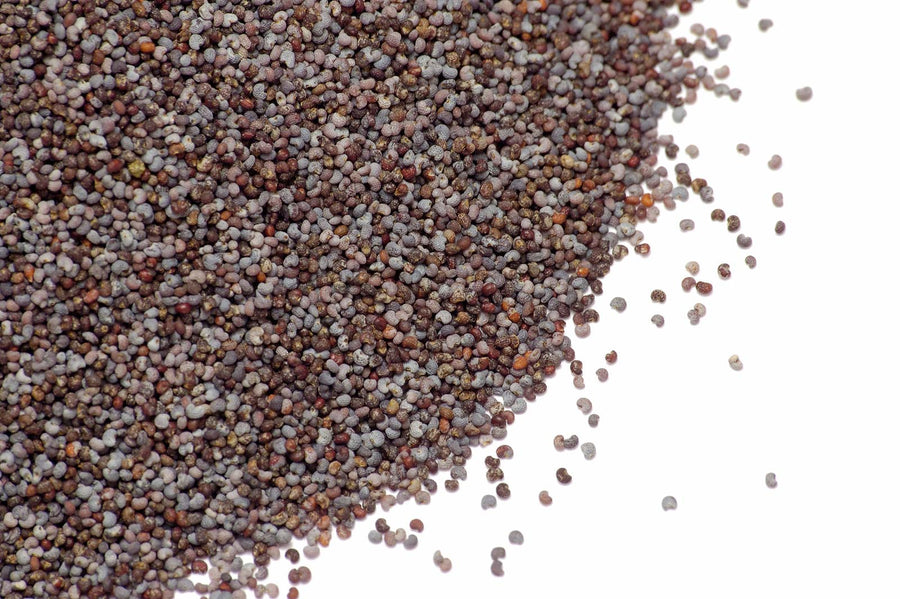 Seeds Poppy 1kg