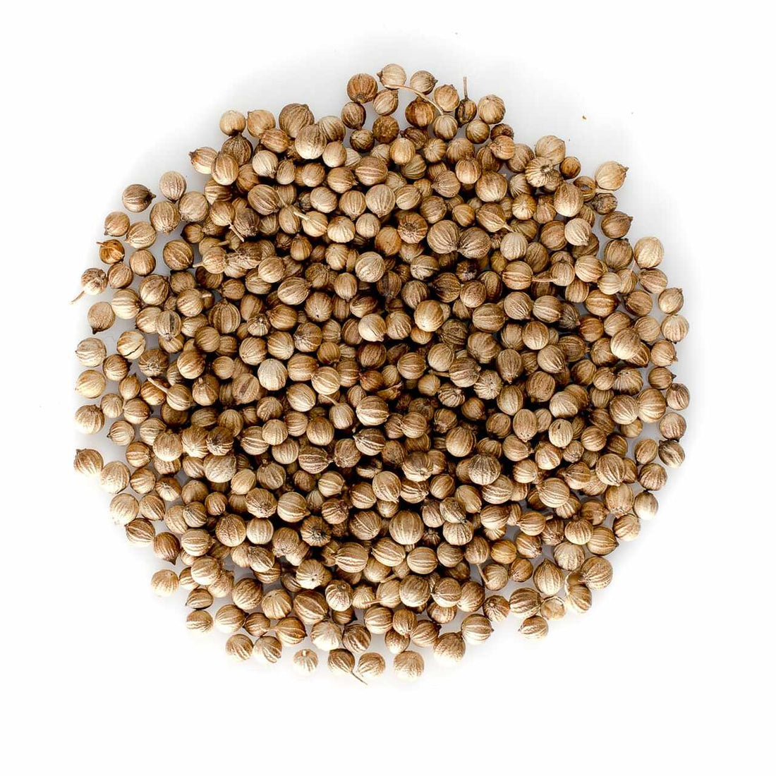 Spices Coriander Whole 1kg