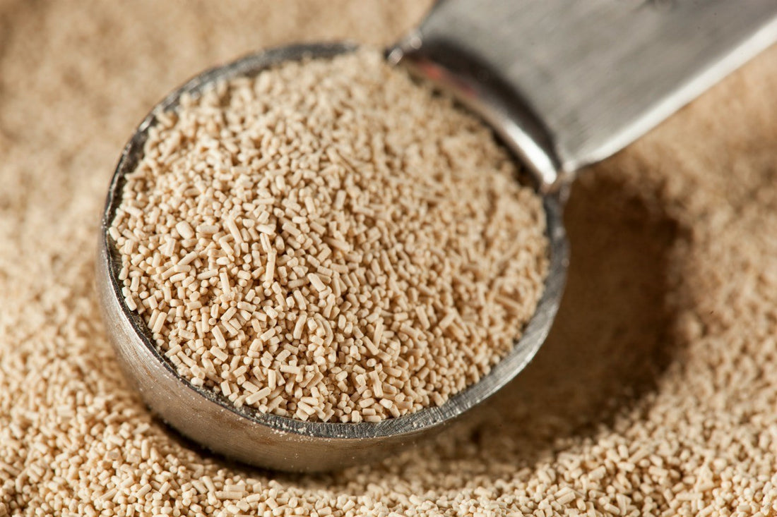Yeast 10g